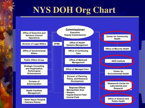 doh intranet central office|DOH Organizational Chart .